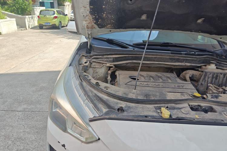Used Haval M6 2019 1.5T DCT Two-Wheel Drive Elite Version China VI Standard Right Front Headlight