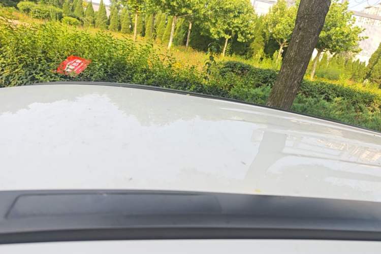 Used Haval M6 2019 1.5T Manual Two-Wheel Drive Urban Version China VI Standard Roof