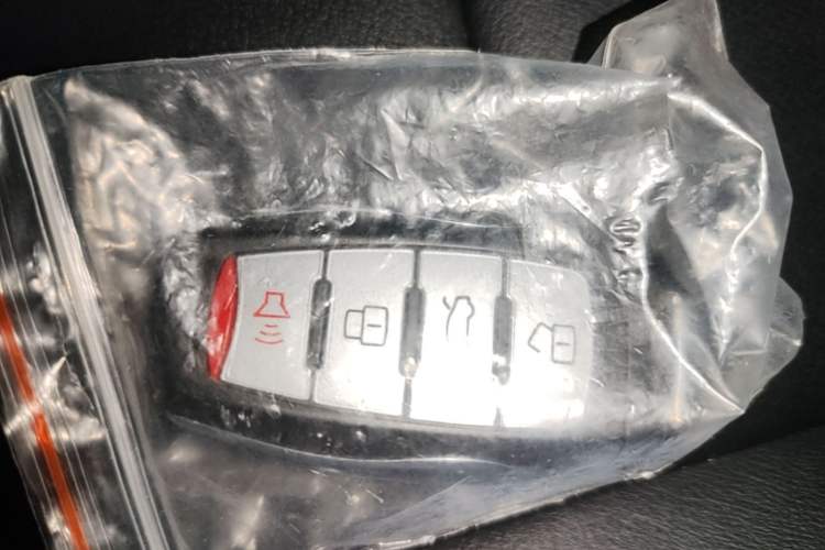 Used Haval M6 2019 1.5T DCT Two-Wheel Drive Elite Version China VI Standard Vehicle Key
