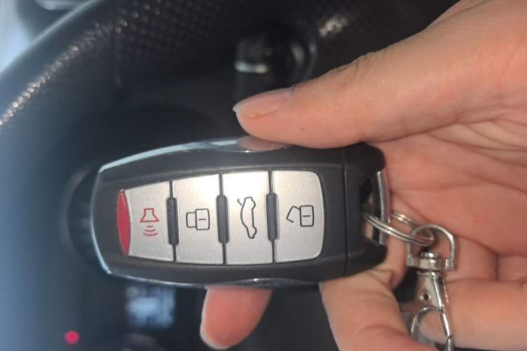 Used Haval M6 2019 1.5T DCT Two-Wheel Drive Value Edition China VI Standard Vehicle Key