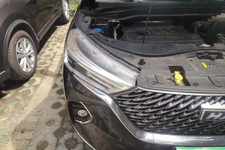 Used Haval M6 2021 PLUS 1.5T DCT Luxury Smart Connectivity Model Right Front Headlight