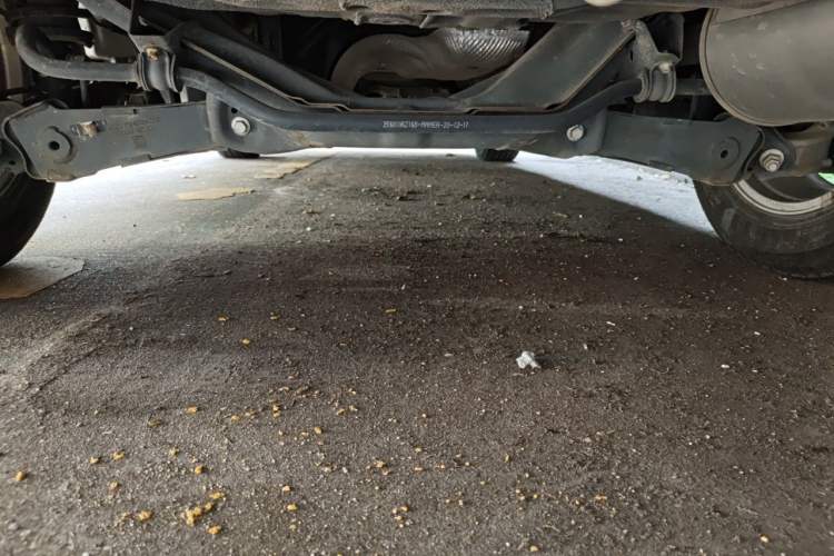 Used Haval M6 2021 PLUS 1.5T Manual Elite Smart Connectivity Model Chassis Rear