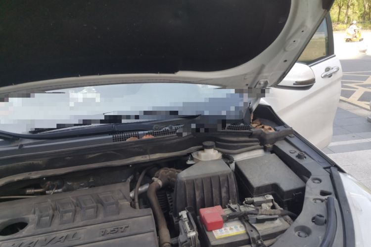 Used Haval M6 2021 PLUS 1.5T DCT Luxury Smart Connectivity Model Engine Bay Left