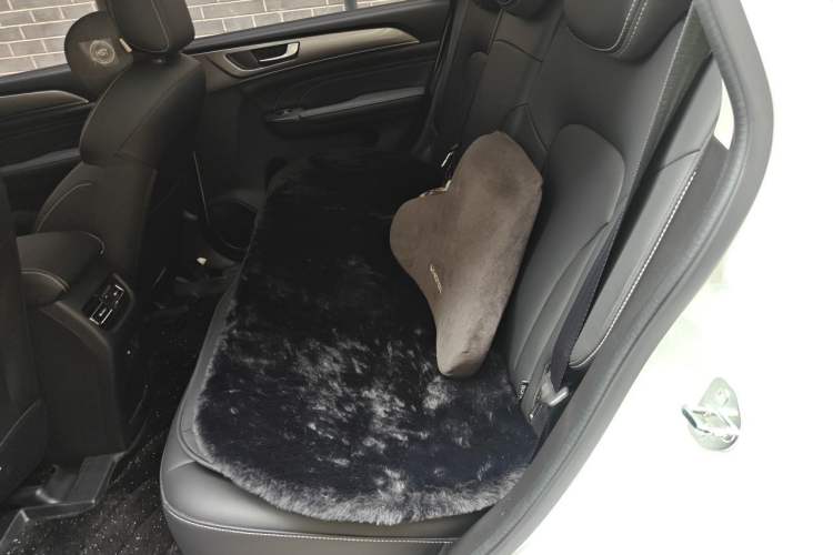 Used Haval M6 2021 PLUS 1.5T DCT Comfort Edition Left Rear Seat