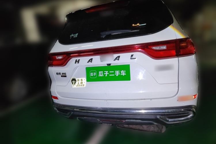 Used Haval M6 2021 PLUS 1.5T DCT Luxury Smart Connectivity Model Rear