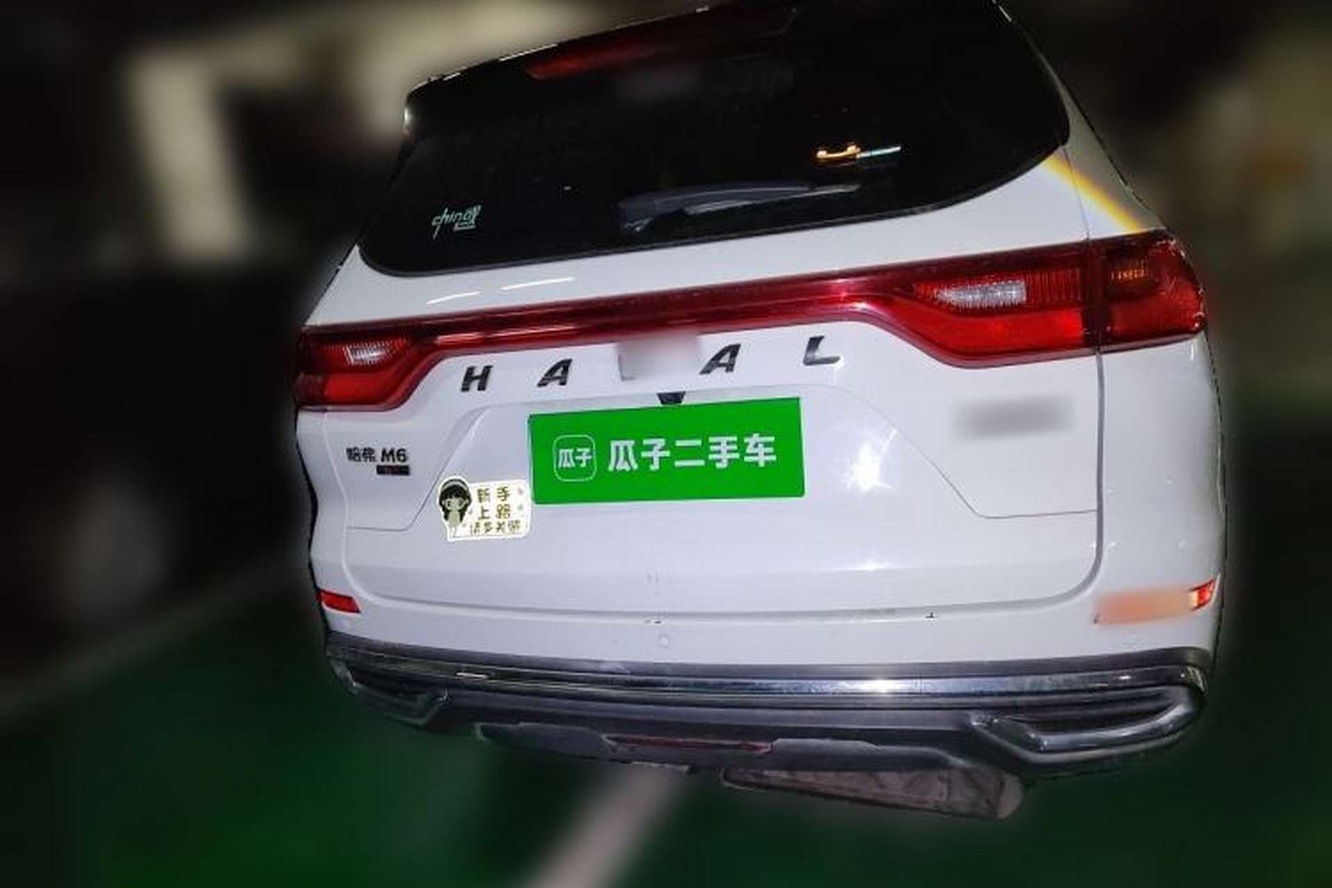 Used Haval M6 2021 PLUS 1.5T DCT Luxury Smart Connectivity Model Rear