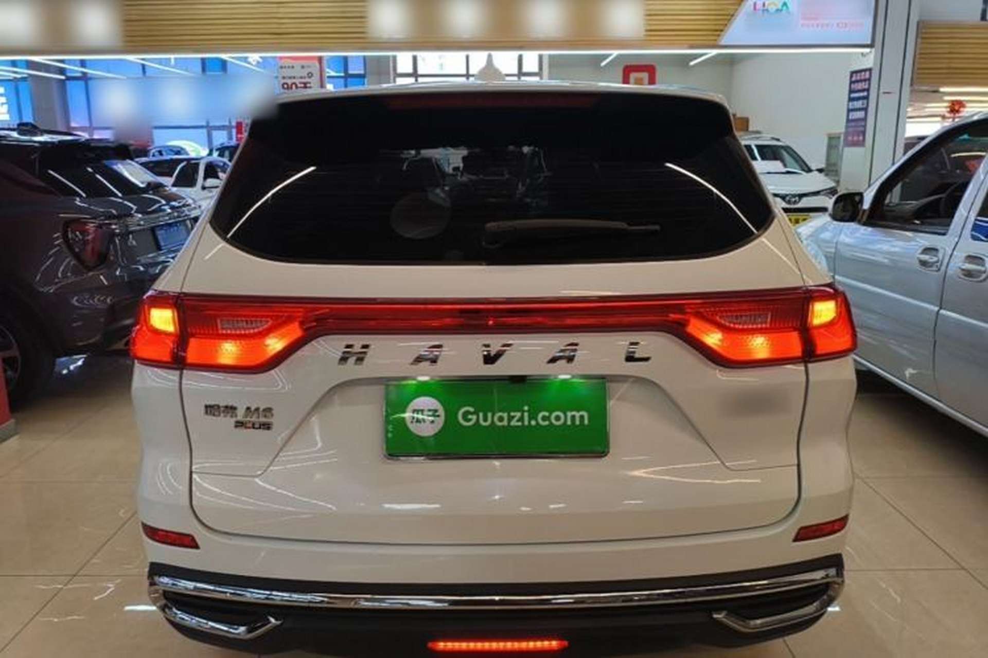 Used Haval M6 2021 PLUS 1.5T DCT Elite Smart Connectivity Model Rear