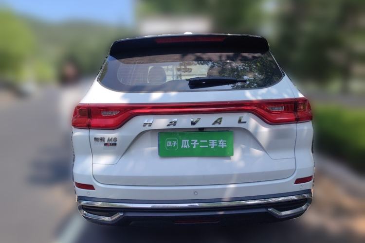Used Haval M6 2021 PLUS 1.5T DCT Smart Enjoyment Model Rear