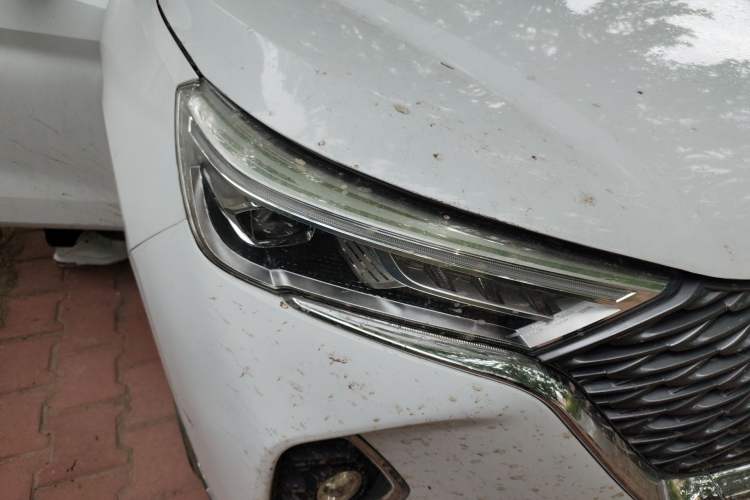 Used Haval M6 2021 PLUS 1.5T DCT Luxury Smart Connectivity Model Right Front Headlight