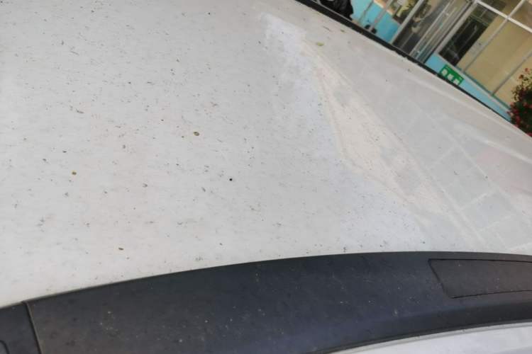 Used Haval M6 2021 PLUS 1.5T Manual Elite Smart Connectivity Model Roof