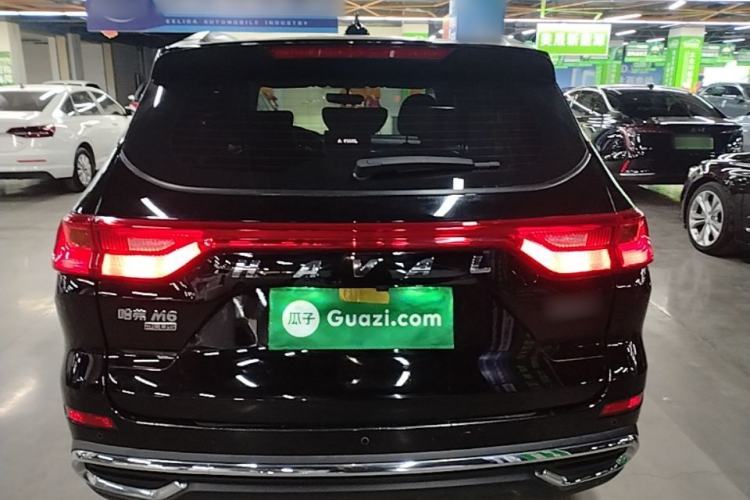 Used Haval M6 2023 PLUS 1.5T DCT Luxury Smart Connectivity Model Rear