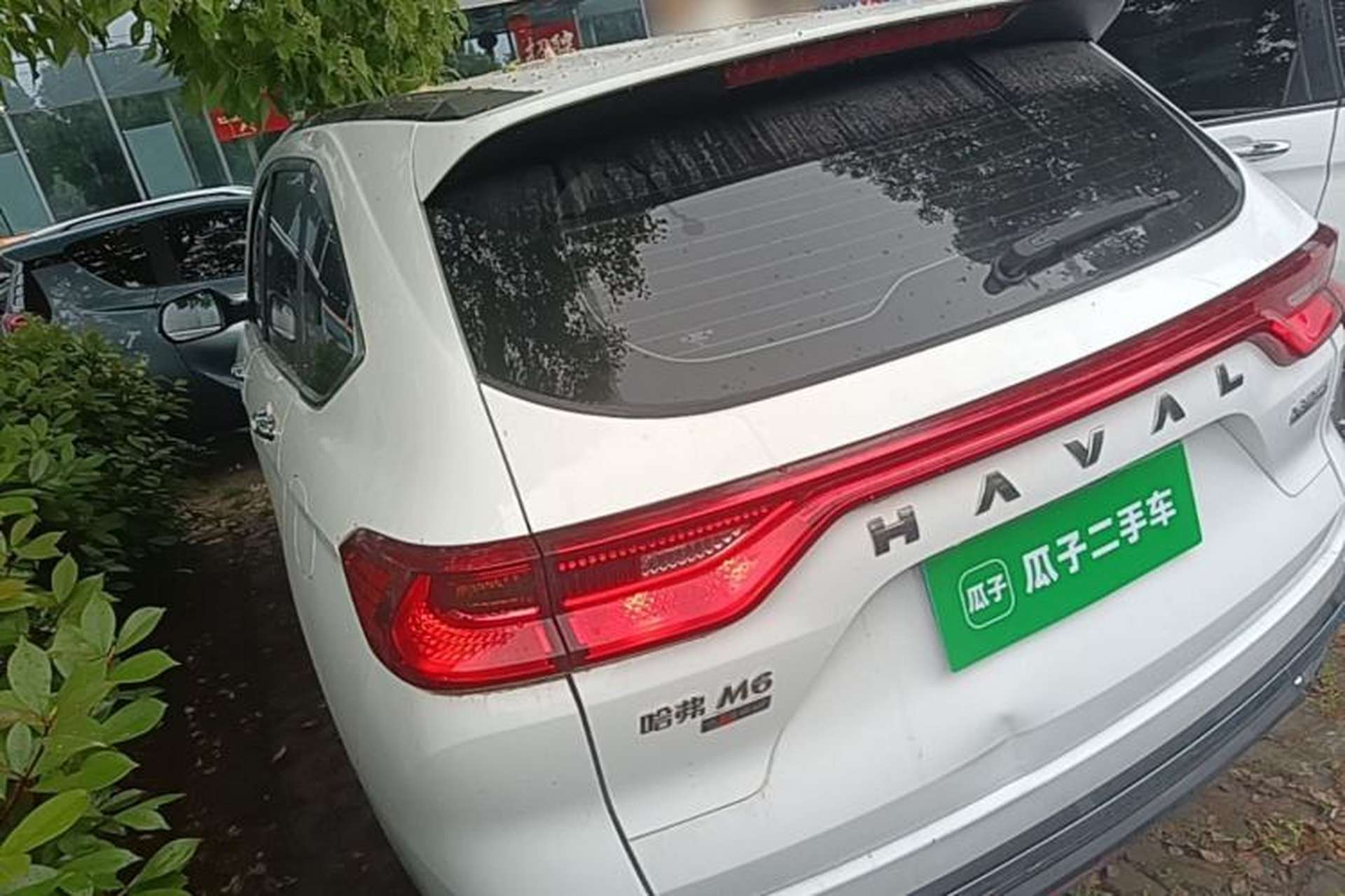 Used Haval M6 2023 PLUS 1.5T DCT Elite Smart Connectivity Model Rear Left 45 Deg