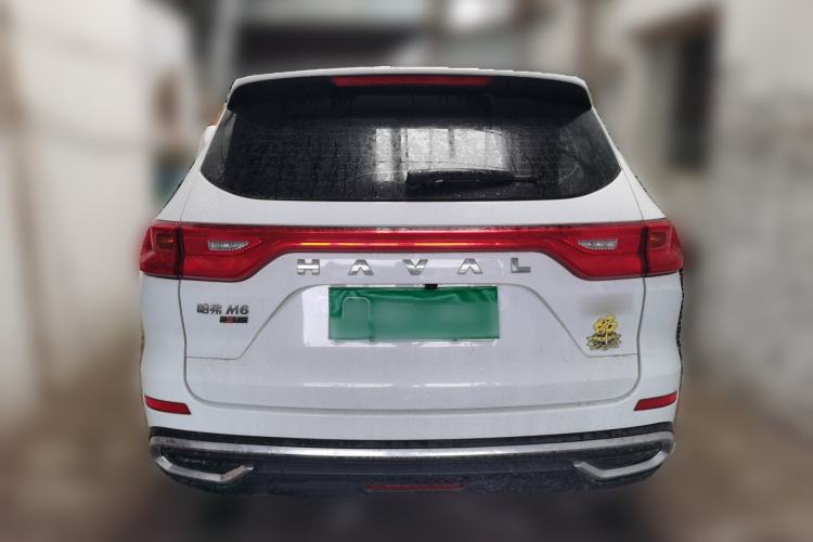Used Haval M6 2023 PLUS 1.5T DCT Elite Smart Connectivity Model Rear