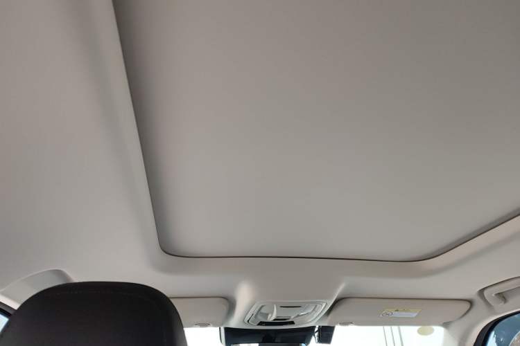 Used Haval Raptor 2025 2.0T 4WD Pro Headliner