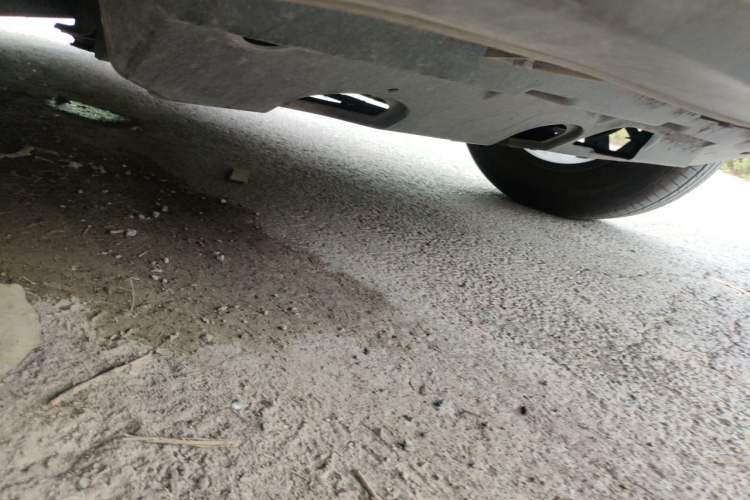 Used Haval Raptor 2025 2.0T 4WD Ultra Chassis Front Right