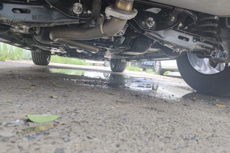 Used Haval Raptor 2025 2.0T 4WD Ultra Chassis Rear