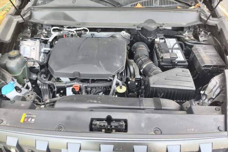 Used Haval Raptor 2025 2.0T 4WD Ultra Engine Bay