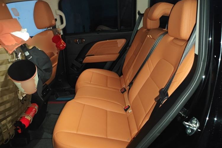 Used Haval Raptor 2025 2.0T 4WD Ultra Left Rear Seat