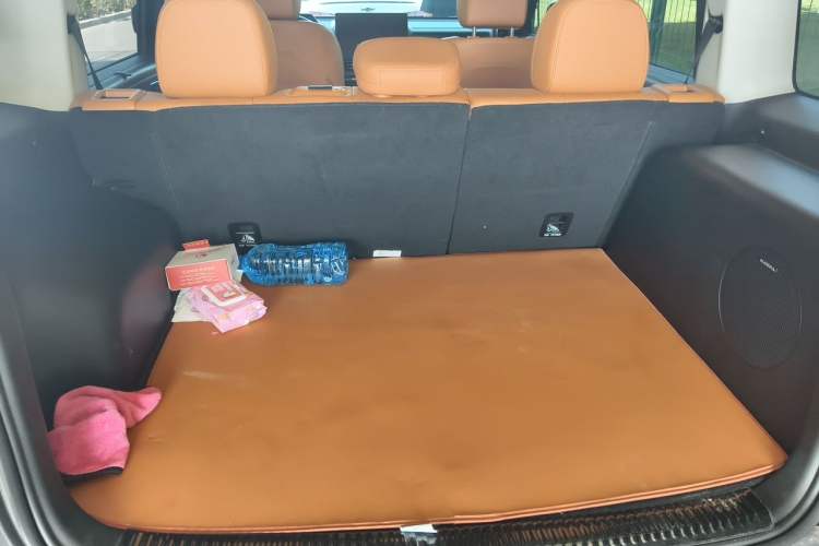 Used Haval Raptor 2025 2.0T 4WD Ultra Trunk