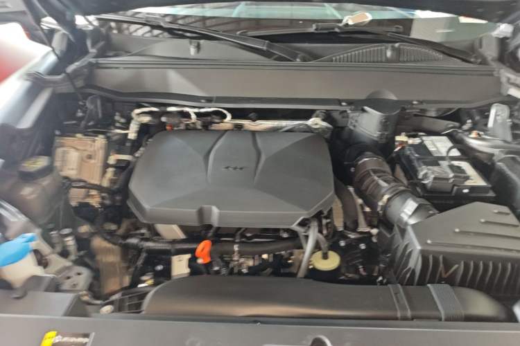Used Haval Raptor 2025 2.0T 4WD Ultra Engine Bay