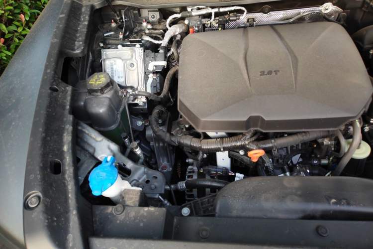 Used Haval Raptor 2025 2.0T 4WD Ultra Engine Bay Right