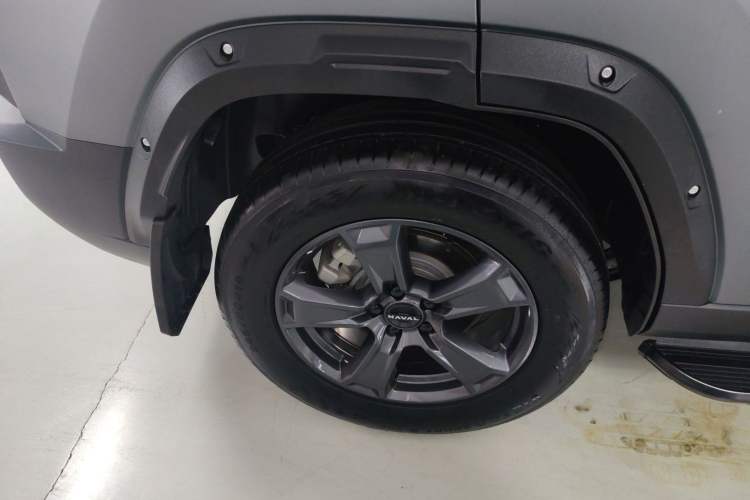Used Haval Raptor 2025 2.0T 4WD Pro Exterior 5