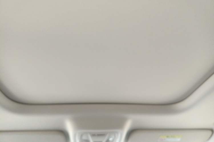 Used Haval Raptor 2025 2.0T 4WD Pro Headliner