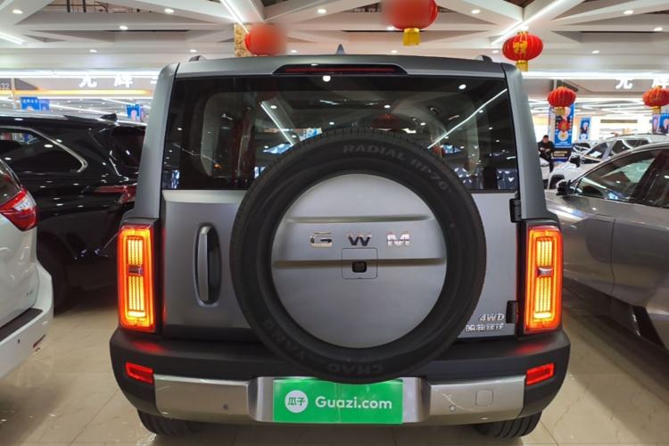 Used Haval Raptor 2025 2.0T 4WD Ultra Rear