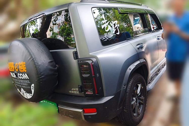 Used Haval Raptor 2025 2.0T 4WD Pro Rear Right 45 Deg