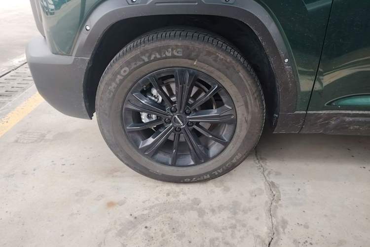 Used Haval Raptor 2025 2.0T 4WD Ultra Exterior 4