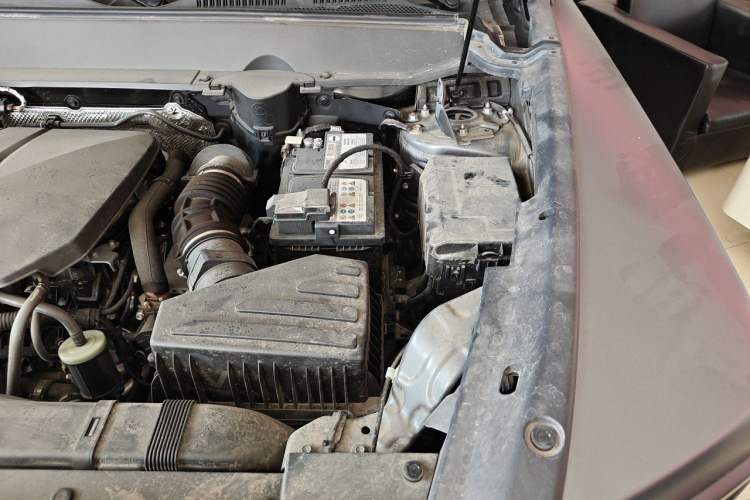 Used Haval Raptor 2025 2.0T 4WD Pro Engine Bay Left