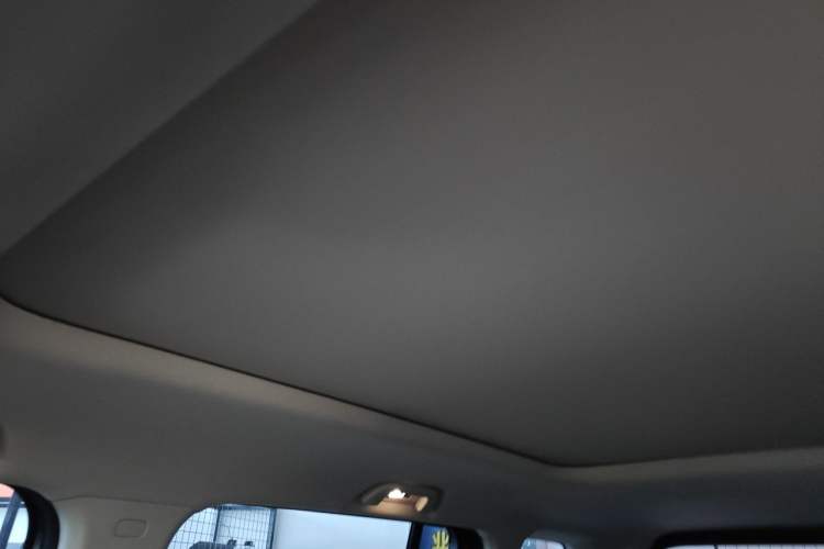 Used Haval Raptor 2025 2.0T 4WD Pro Headliner