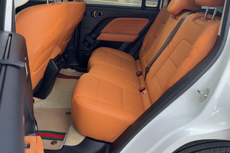Used Haval Raptor 2025 2.0T 4WD Ultra Left Rear Seat