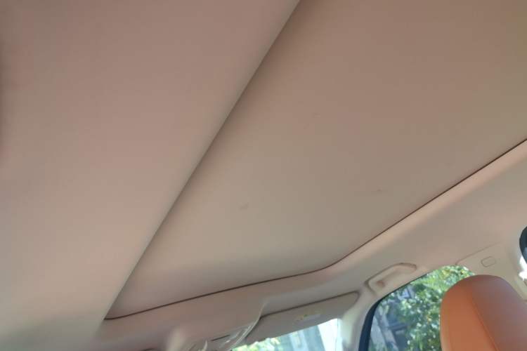 Used Haval Raptor New Energy 2023 Hi4 102 Exploration Edition Headliner