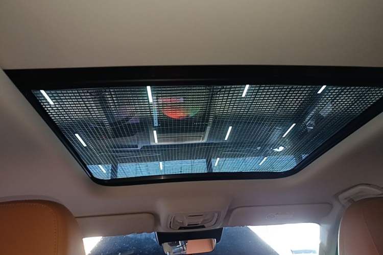 Used Haval Raptor New Energy 2023 Hi4 102 Exploration Edition Headliner