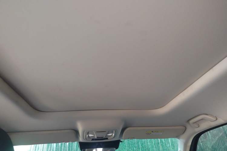 Used Haval Raptor New Energy 2023 Hi4 102 Exploration Edition Headliner