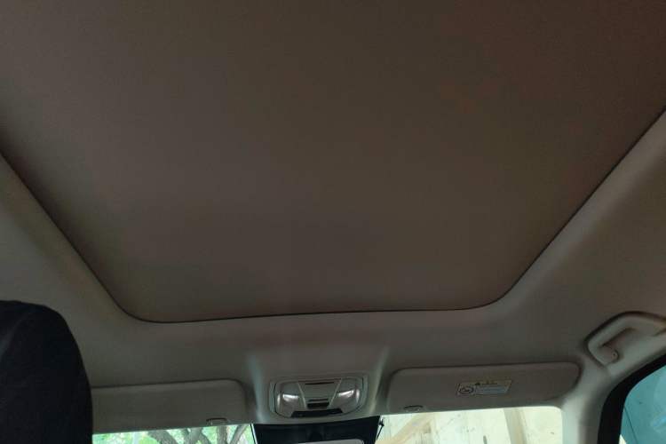 Used Haval Raptor New Energy 2023 Hi4 102 Exploration Edition Headliner