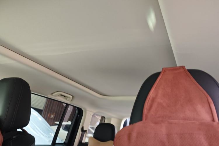 Used Haval Raptor New Energy 2023 Hi4 145 Explorer Edition Headliner