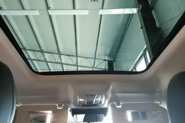 Used Haval Raptor New Energy 2023 Hi4 102 Exploration Edition Headliner