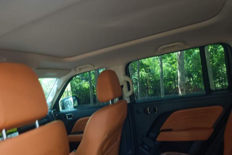 Used Haval Raptor New Energy 2023 Hi4 102 Exploration Edition Headliner