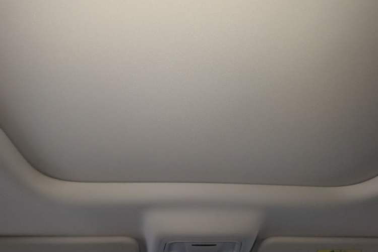 Used Haval Raptor New Energy 2023 Hi4 145 Explorer Edition Headliner