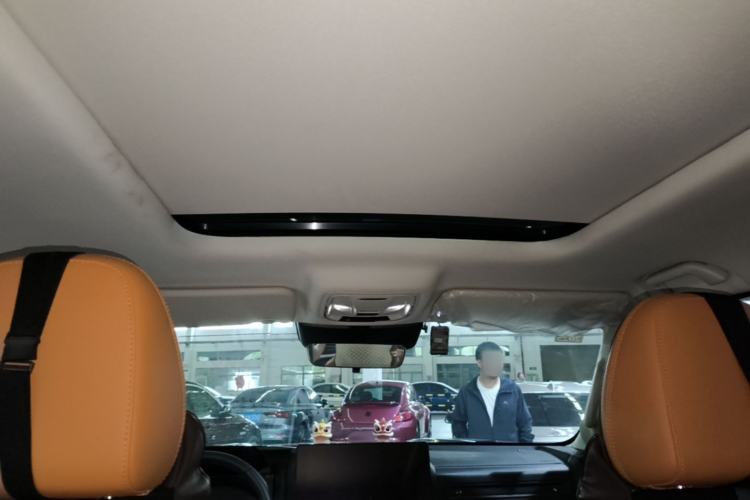 Used Haval Raptor New Energy 2023 Hi4 102 Exploration Edition Headliner
