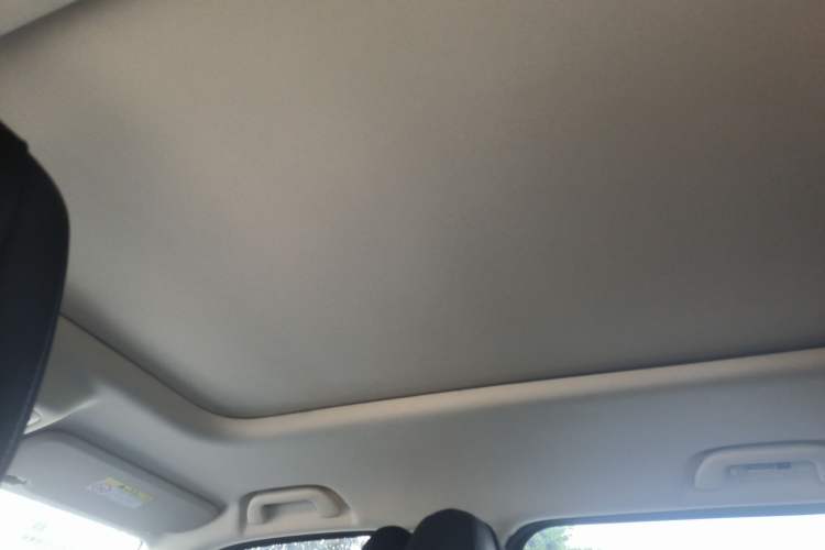 Used Haval Raptor New Energy 2023 Hi4 102 Exploration Edition Headliner