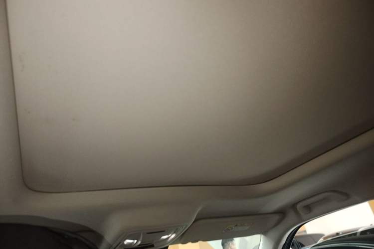 Used Haval Raptor New Energy 2023 Hi4 145 Explorer Edition Headliner