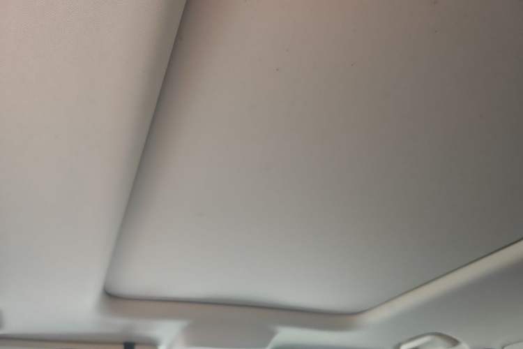 Used Haval Raptor New Energy 2023 Hi4 102 Exploration Edition Headliner