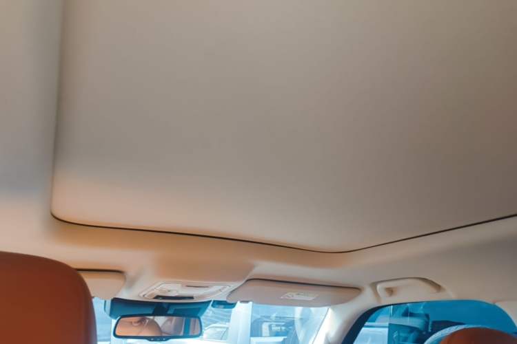 Used Haval Raptor New Energy 2023 Hi4 145 Explorer Edition Headliner
