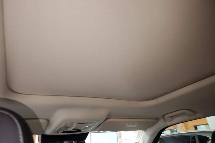 Used Haval Raptor New Energy 2023 Hi4 145 Explorer Edition Headliner