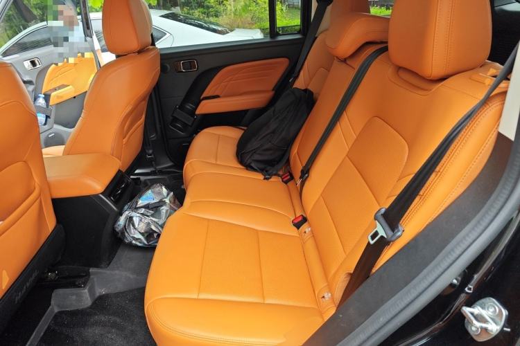 Used Haval Raptor New Energy 2023 Hi4 102 Exploration Edition Left Rear Seat