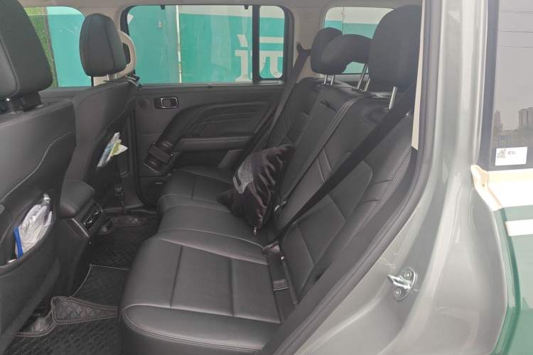 Used Haval Raptor New Energy 2023 Hi4 145 Explorer Edition Left Rear Seat