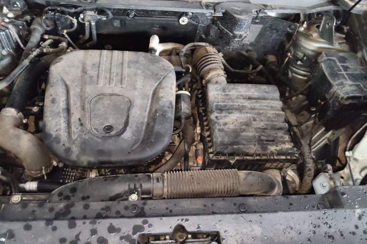 Used Haval Raptor New Energy 2023 Hi4 145 Explorer Edition Engine Bay